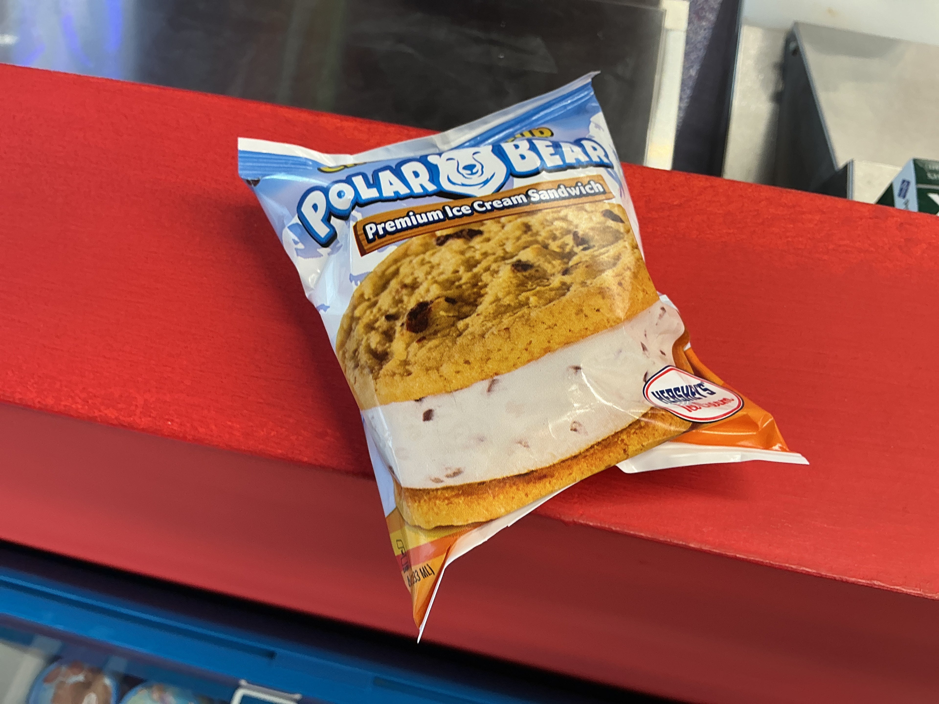 Chocolate Chip Polar Bear