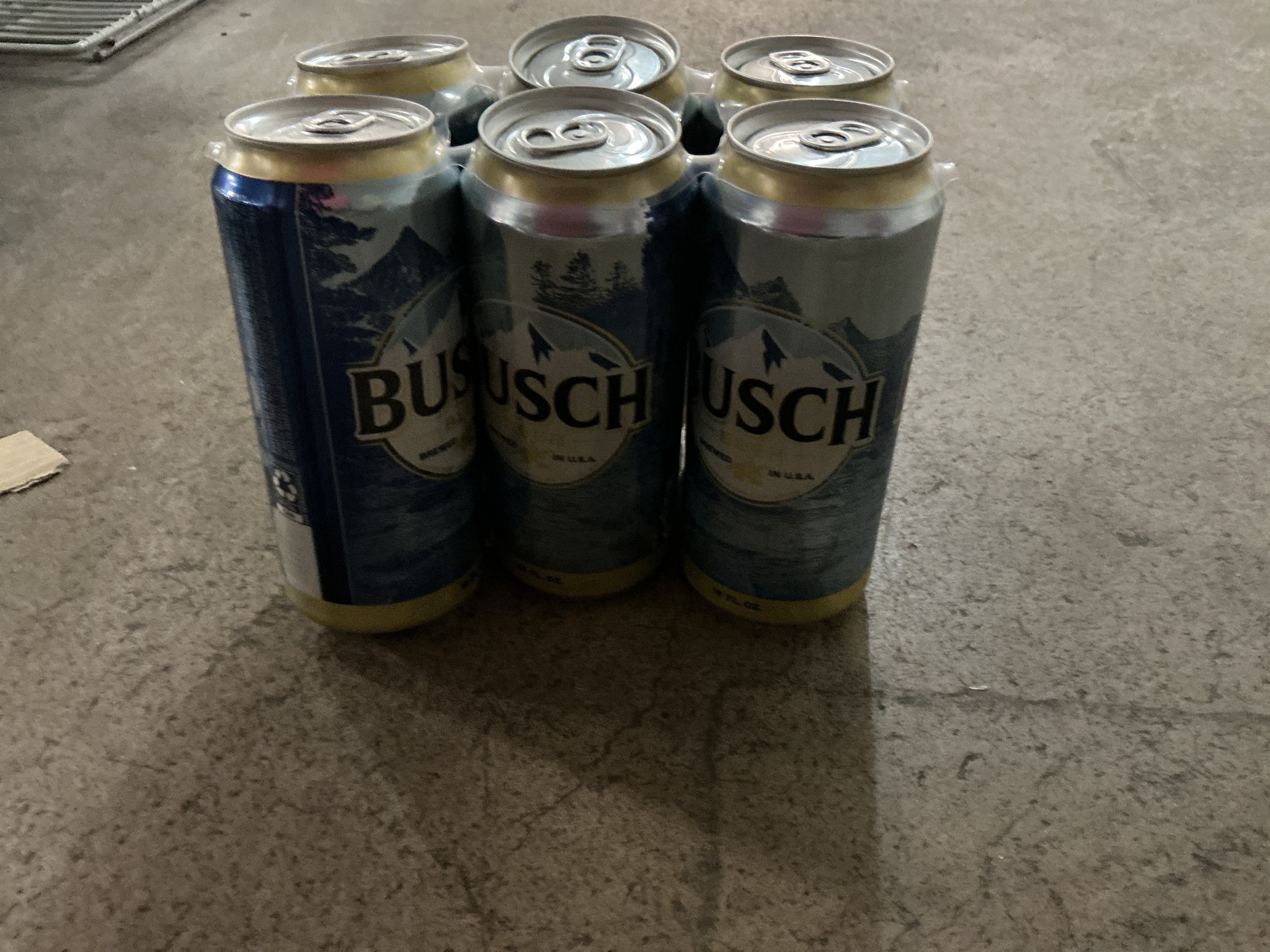 Busch 4/6 16oz cans